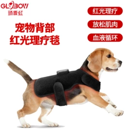 其他美体瘦身;生发仪、护发仪;马术用品