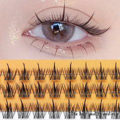 Scarecrow Little Devil Comic Eye Lazy Man Trilogy Black Stem Natural Single Cluster Fairy Fishtail Grafting False Eyelashes