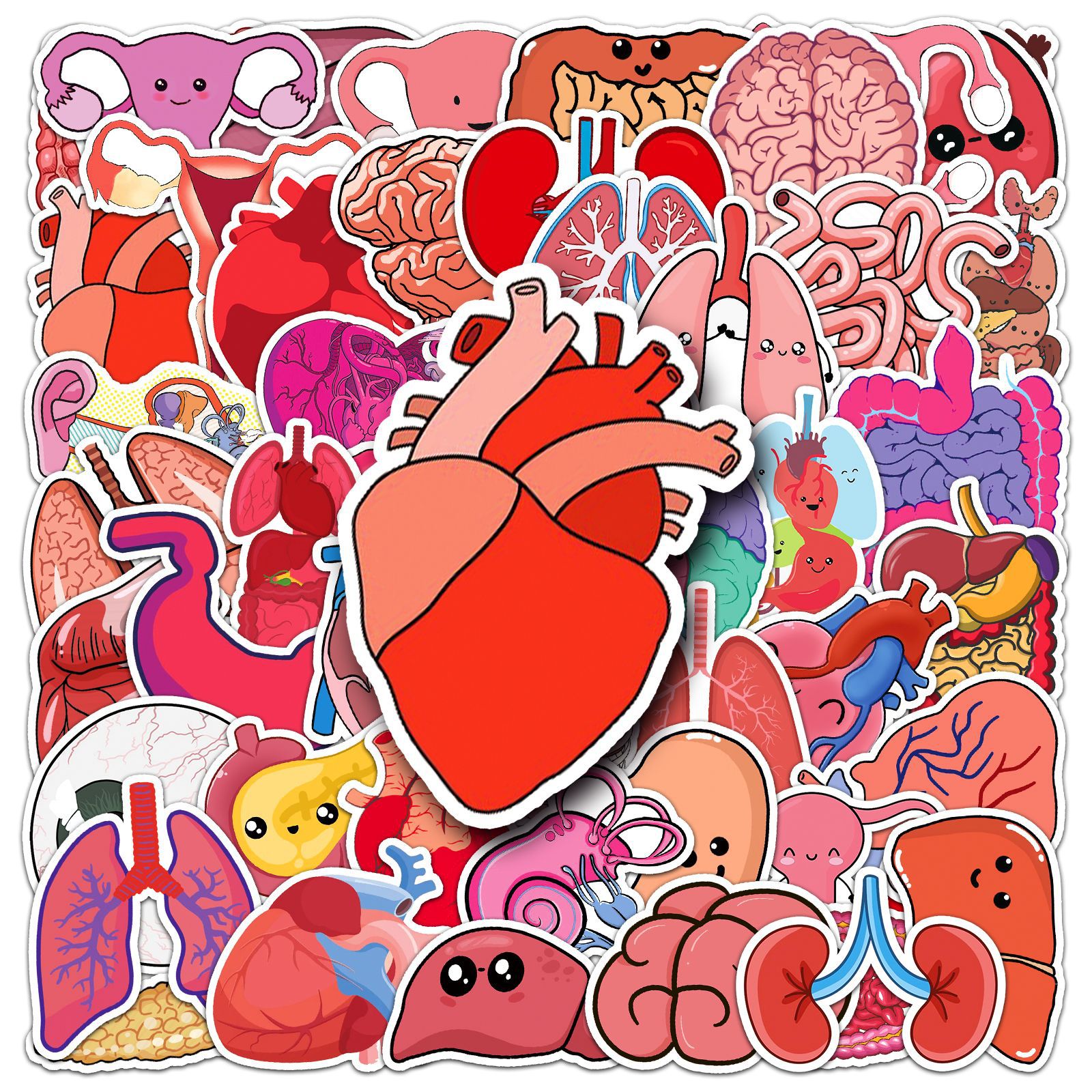 physiological sticker