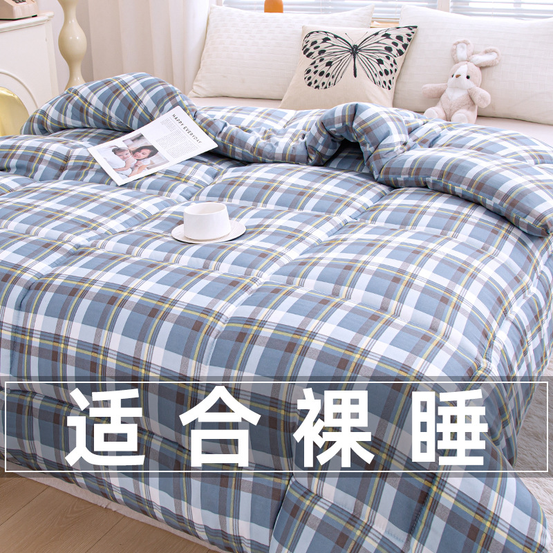 Colcha de invierno, colcha de invierno, colcha de algodón caliente, colcha de invierno, dormitorio de estudiantes de alquiler individual, colcha de primavera y otoño, cuatro estaciones disponibles image 1