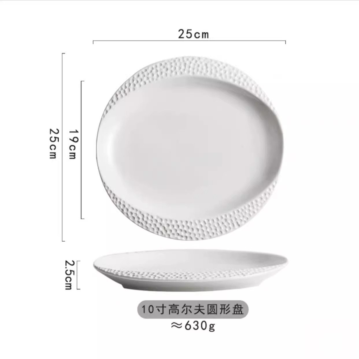 10 인치 골프 디스크