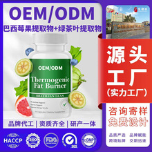 �羳���R�d��Ʒ��Դȼ��C���z���N�ƶ����������wȼ����֬������