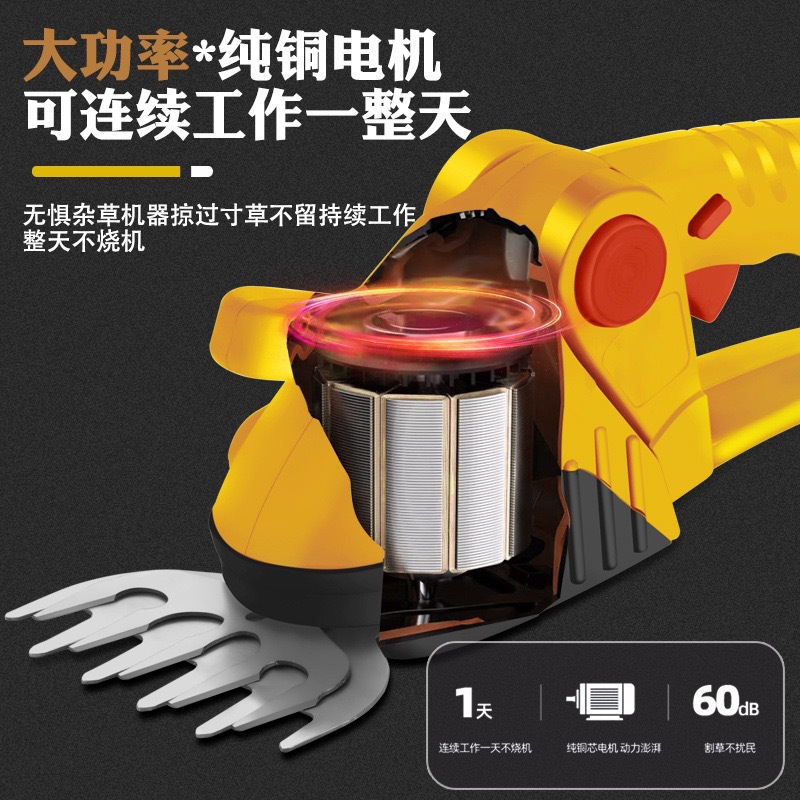 微信图片_2025-04-25_170004_785.jpg