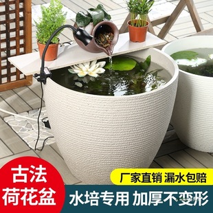 �ŷ��B�~��ͥԺ���ˮ�׼����B���~����ˮ��ˮ��ɻ�˯ɏ��ɏ����