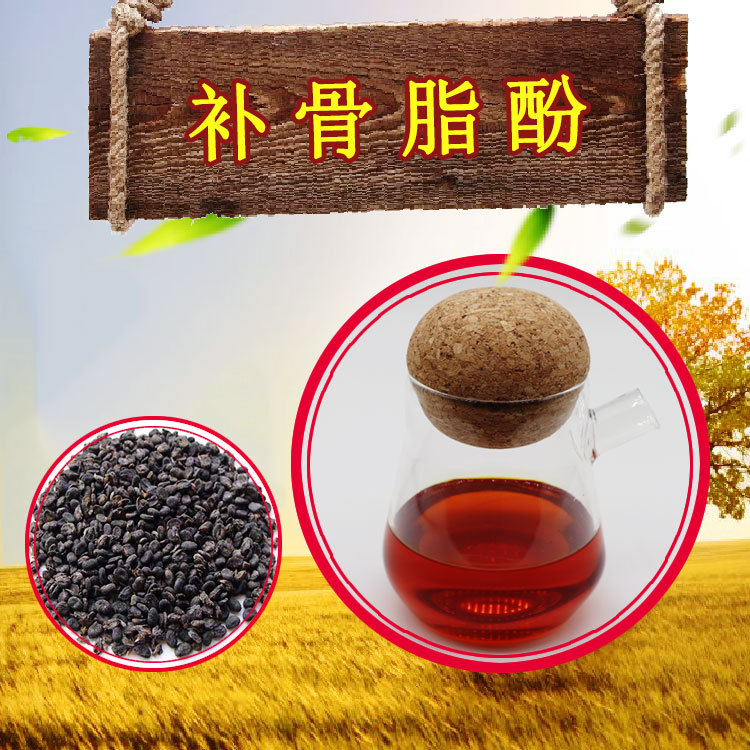 补骨脂酚98%现货供应补骨脂提取物量大价优可出口100g装破故纸酚