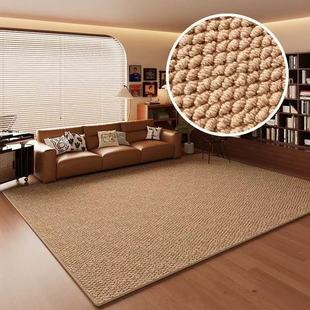 Living Room Carpet High-End Imitation Sisal Sofa Coffee Table Mat 2025 New Pineapple Ring Plain Bedroom Room Home