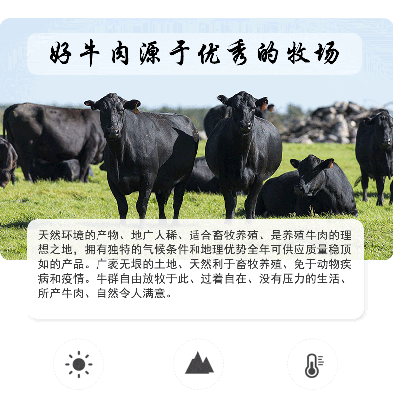 詳情，模板_10.gif