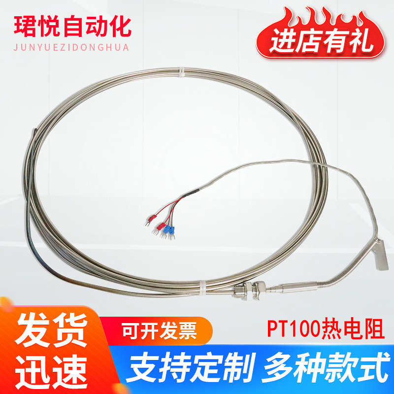 仪器仪表温度仪多功能pt100热电阻WZPM-201探头式热电偶高精度