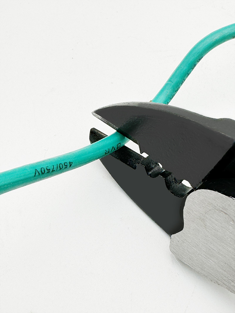 微信图片_20241228205528