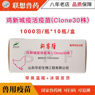 �A���¿�¡  �u��С�u�����u��¡30�uș������ �u�³���c30������