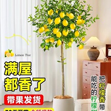 ��ˮ���ʘ䎧�����Կ͏d�Gֲ����ֲ���҃��̨����ȩ��ֲ�ļ����B