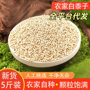 �������r����؛�ԷN���|���x֧��һ�����l