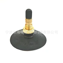 气门嘴;车身及附件;摩托车配附件