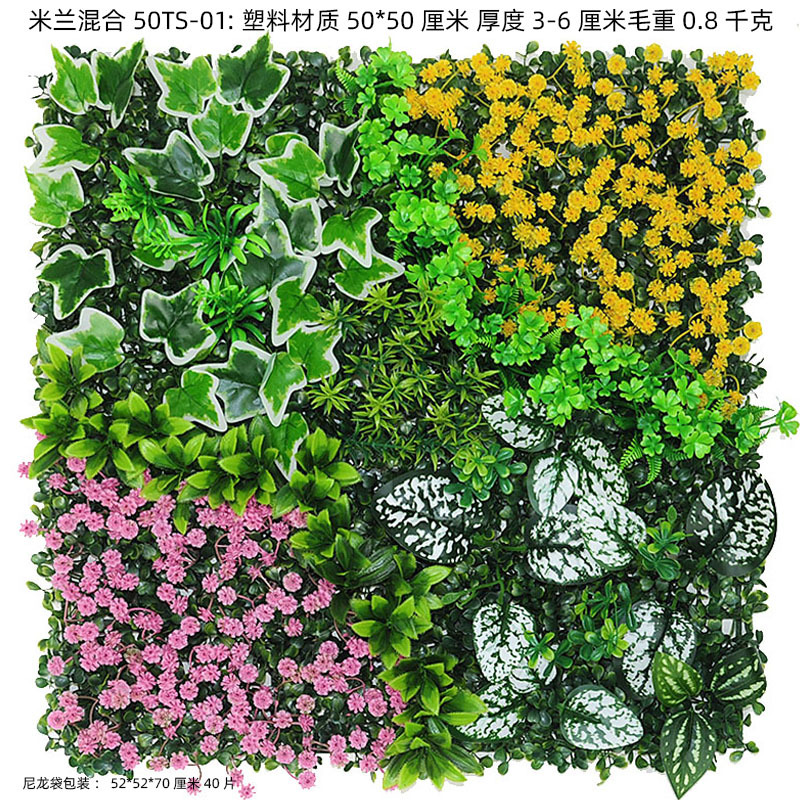 50*50-TS-01