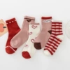 Mixed strawberry, 5 colors