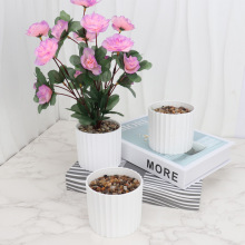 ��������С���� �Gɫֲ�që��ĭ С�Gֲ���Զ�����滨�廨�軨��