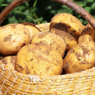 ���r���������F�ڷ�Ŵ���������R��������߲ˮa��؛Դ���� ����