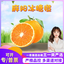 �����x���������Ě�� ���l3/5�����r������ե֭���ǳ����ЋDˮ��