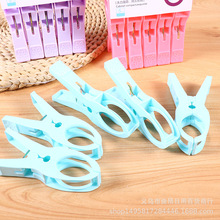 8013加厚塑料夹子彩色晾衣夹防风多功能晾晒内衣夹成人儿童裤袜夹