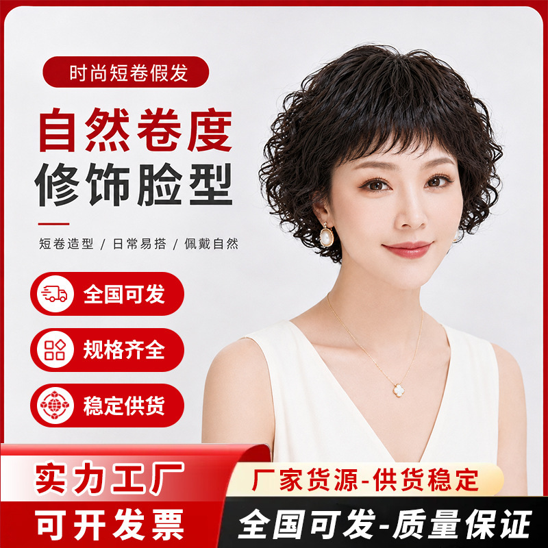 New short curly real human hair wig for women, full head wig, voluminous and elegant, naturally realistic, direct supply from the source New short curly real human hair wig for women, full head wig, voluminous and elegant, naturally realistic, direct supply from the source