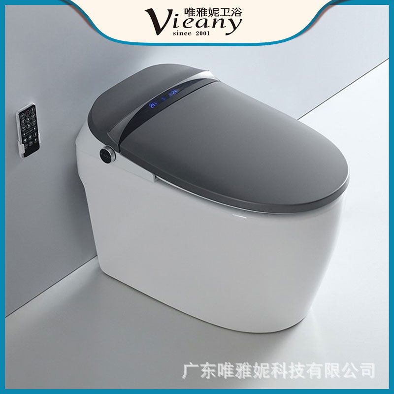Inodoro eléctrico integrado automático gris del hogar del retrete del espacio profundo con la versión de gama alta teledirigida del retrete elegante del tanque de agua
