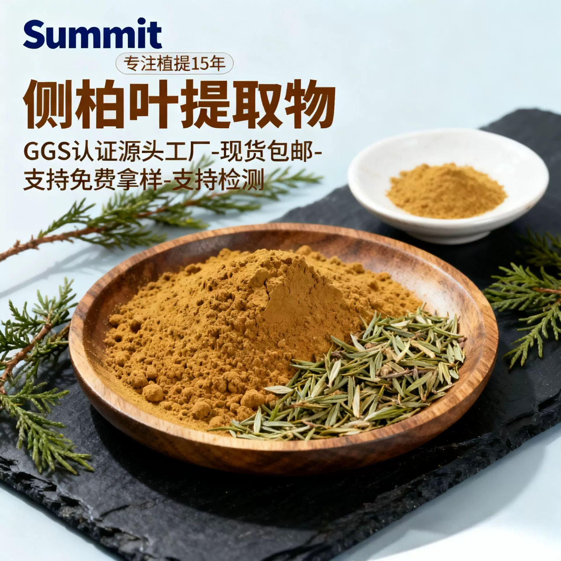 侧柏叶提取物水溶性工厂现货包邮可免费试样可商检侧柏叶提取物