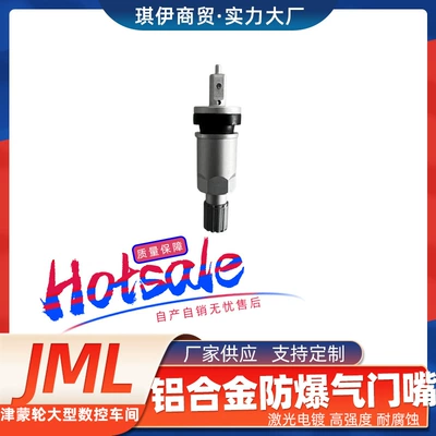 suitable for Changan Auchan Roewe: valve