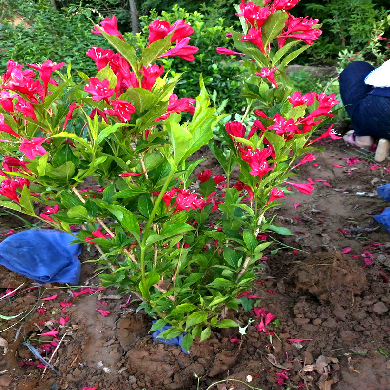 �t�����\������ͥԺ�G����N���~�\������\���������\����������