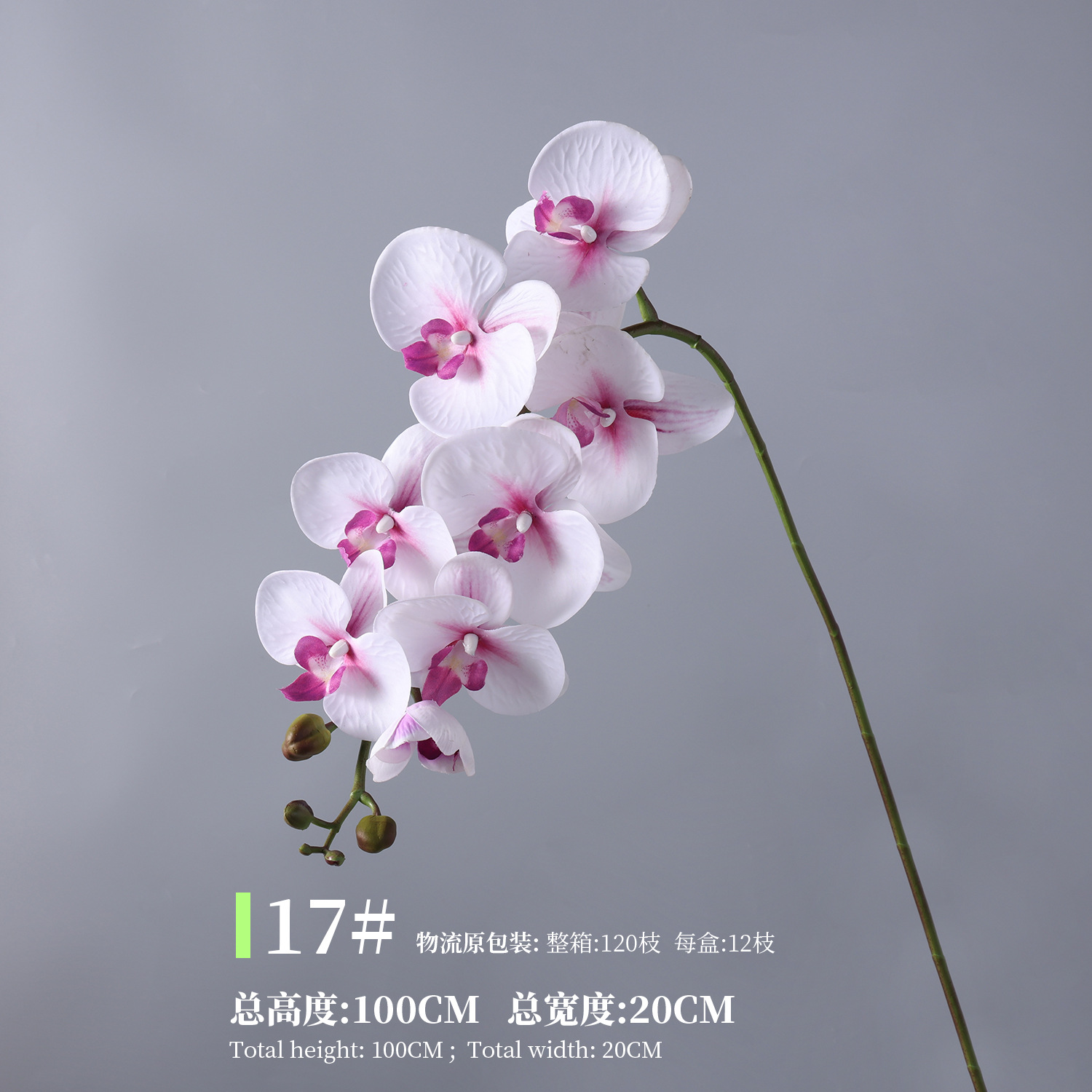 17#