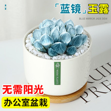 �{�R��¶�߶��{ɫ����ֲ���k���҃�С���Դ��w���B��ϡ��Ʒ�N���F