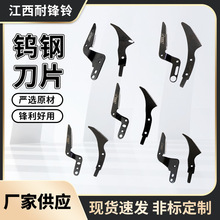 Sau䓵Ƭ^ֱbgp浶Ƭص^