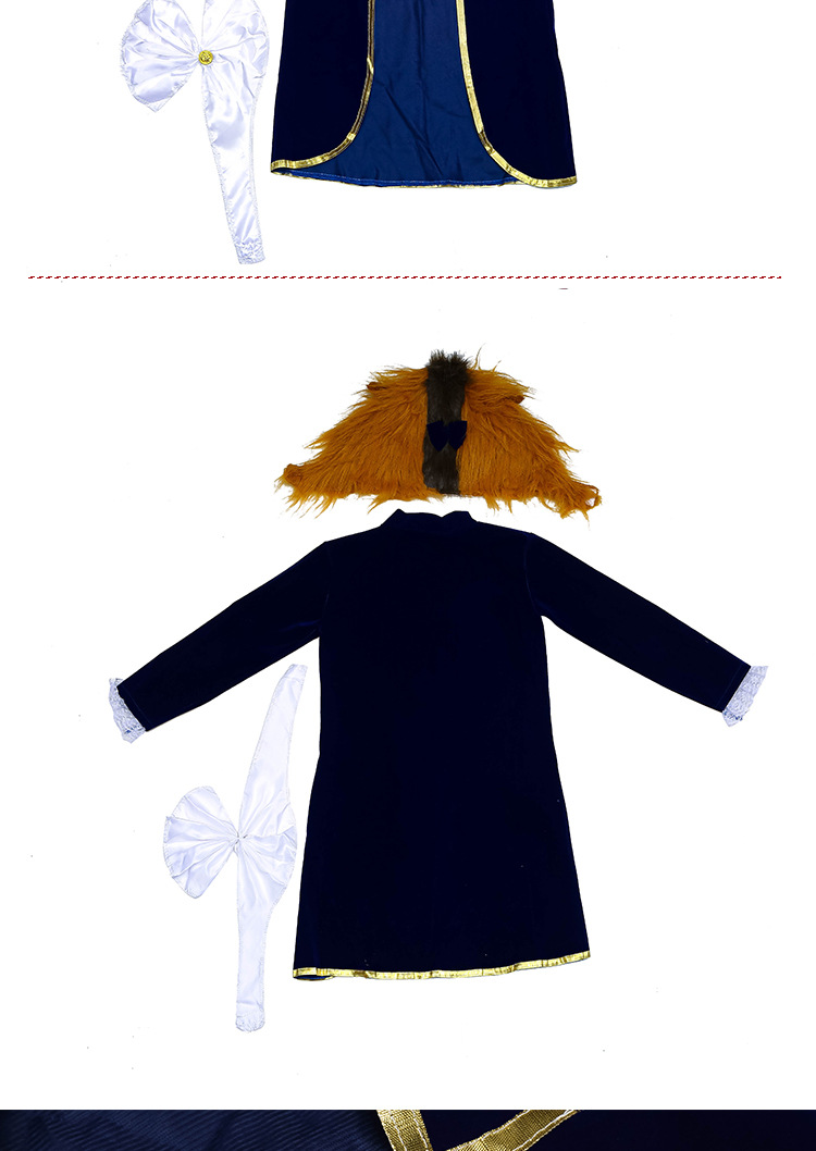 Beauty and the Beast Costume