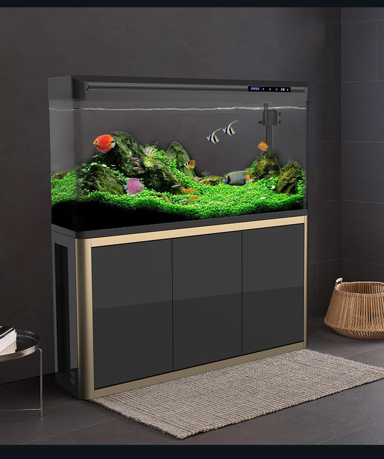 f2e53ed8-deb0-4b3b-a1d2-1c1b99594825.jpe