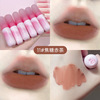 Lipstick, matte natural pink nude lip gloss, translucent shading