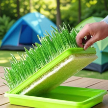 ԥ�� ؈�ݷN�� ������ ��ƤС���� ʳ��ĥ��С���N��  ��~ι����