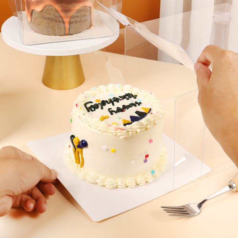新款网红ins风透明pet蛋糕盒手提生日蛋糕盒西点甜品打包盒批发