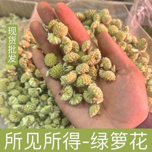 �ؾG�}������G�}���ɻ�ѩ�����a��؛Դ����ă�ɢ�b���l