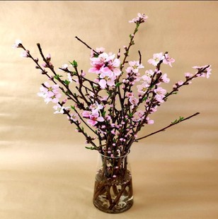 Peach Blossom Fresh Branches Peach Blossom Branches Bloom When Exposed to Water Southeast Peach Wood Branches Hydroponic Flowers Moving and Transporting Dry Branches Peach Tree Ornaments