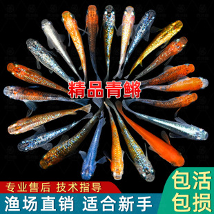 �^�����F�^�p�~ħ���~��ˮ��ˮС���\�����~���w���������B�׻�