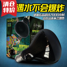 ��}���x�������֩����ϐ�ӽ���ҹ���ӟ�����؟��Ӝ؟���������