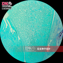 ��ƽ̌W �߽�ʹ�������@΢��Ƭ ֲ��W��У��Ƭ �����N����Ƭ