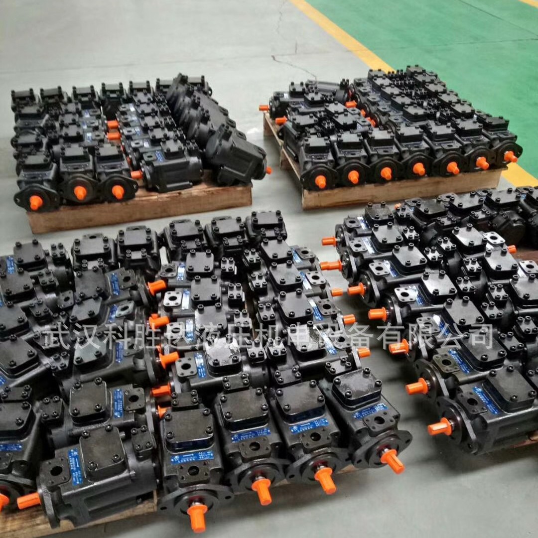 PFE-51 51110-1DT 1DV 1DW 1DU太重榆液 榆次液压叶片泵 单联油泵