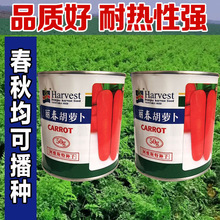 ���}���N���ļ������ﶬ�Nֲ�S�t���߲˲����̨�N������ͥԺ�߮a