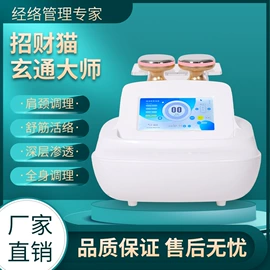 电子美容仪;其他美体瘦身;其他美容仪器