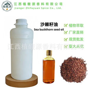 ɳ������ ɳ����HIPPOPHAE RHAMNOIDES������ ��Ħ���yƷ������