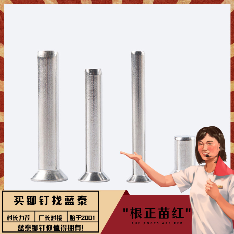 平锥头不锈钢铆钉/平锥头实心铆钉平锥头半空心铆钉
