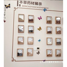滋补店装饰药材挂图卡片图片中式形象药食同源标本悬挂标本