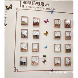 滋补店装饰药材挂图卡片图片中式形象药食同源标本悬挂标本