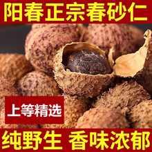 ����Ұ�������ڏV�|ꖴ���ɰ�� Ұ��ꖴ�ɰ�V�|ꖴ�ɰ���خa����