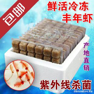 �������岳������� �����S���r �S���x��ȸ�~����~ʳ